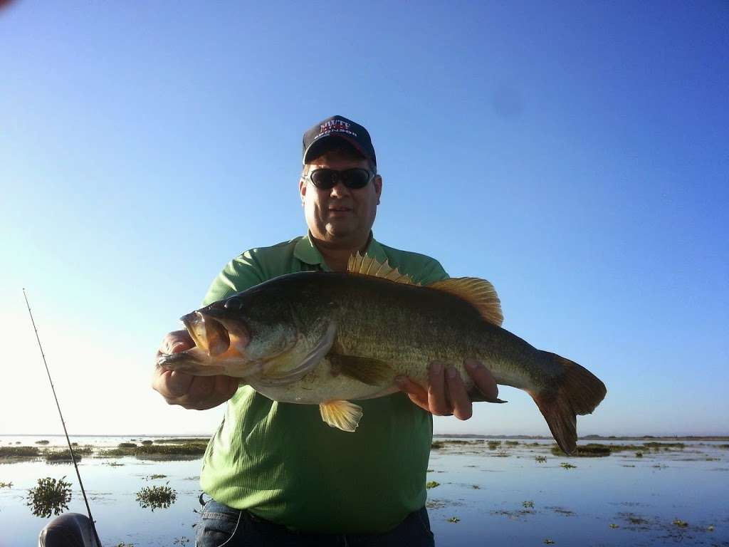 Orlando Florida Bass Fishing | 1326 Sweetwood Blvd, Kissimmee, FL 34744, USA | Phone: (407) 908-4600