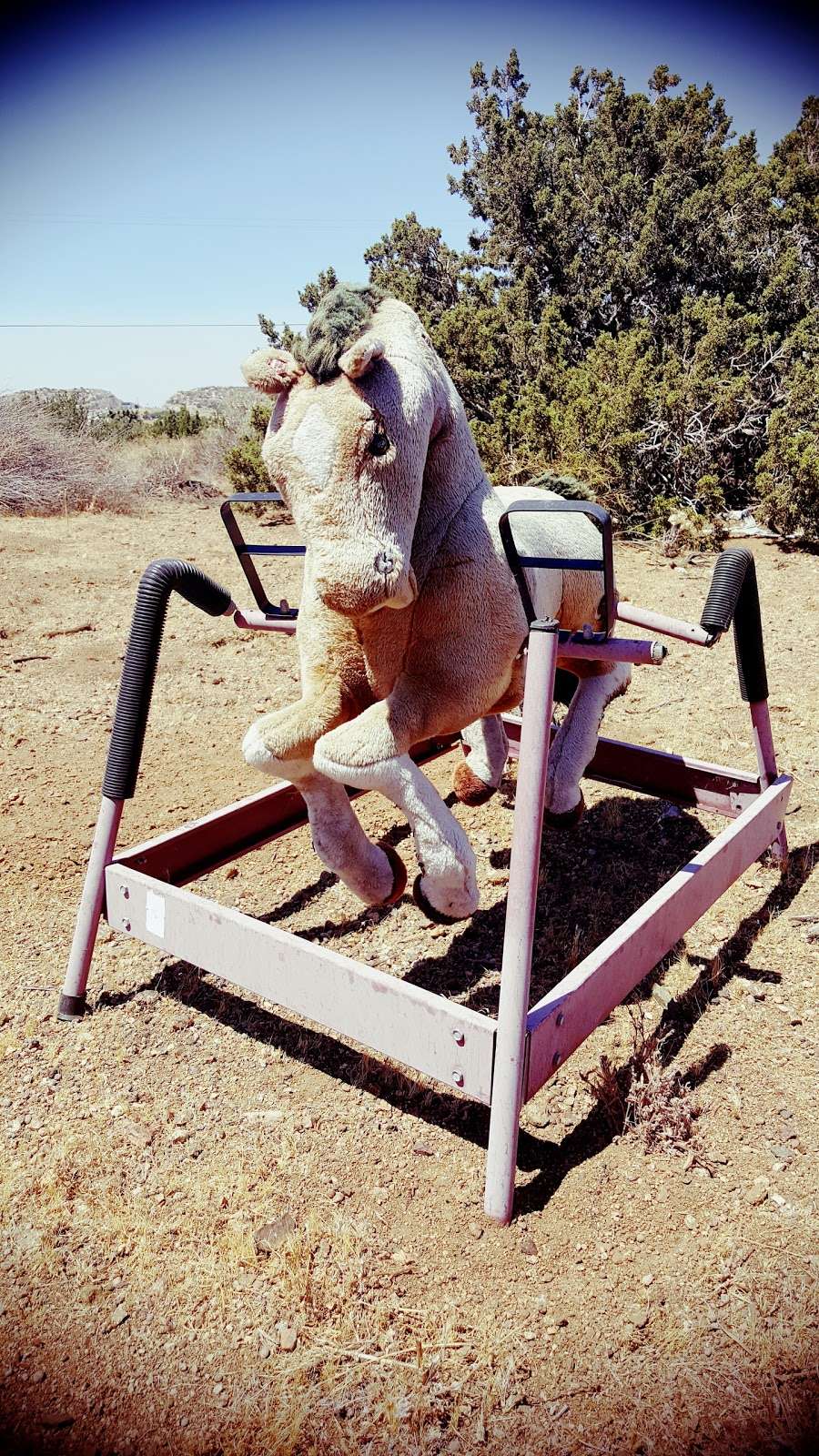 Lonely Rocking Horse | 161 Hacienda Dr, Palmdale, CA 93551, USA