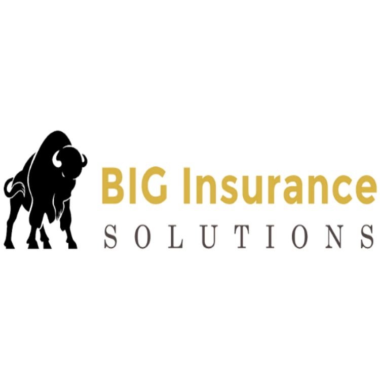 BIG Insurance Solutions | 2315 Riddle Rd, Austin, TX 78748, USA | Phone: (512) 280-5123