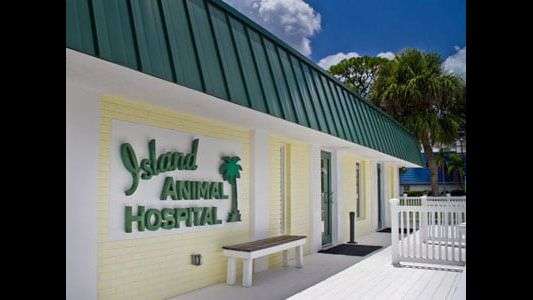 Island Animal Hospital in Merritt Island | 105 McLeod St, Merritt Island, FL 32953, USA | Phone: (321) 453-2430
