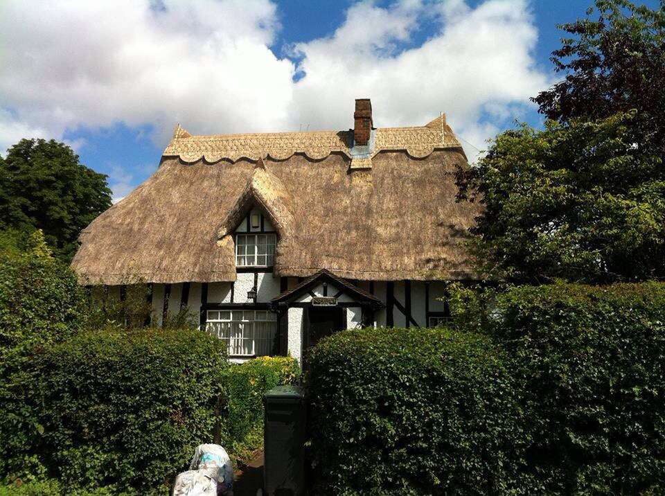 LDthatching | 39 Rowley Mead Thornwood, Epping, Thornwood, Epping CM16 6NH, UK | Phone: 07974 766287