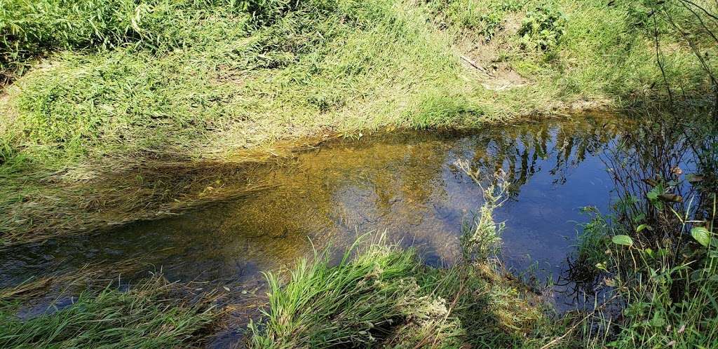 The Nature Conservancy, Chrome Serpentine Barrens Preserve | State Rd, Oxford, PA 19363, USA | Phone: (717) 232-6001