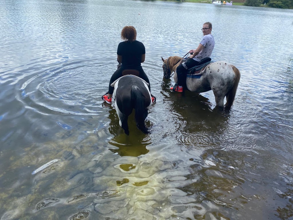 A&A Adventure Horse Trail Rides | Call for reservation, Office only, 2764 SW 83rd Ave, Miramar, FL 33025, USA | Phone: (954) 816-2685