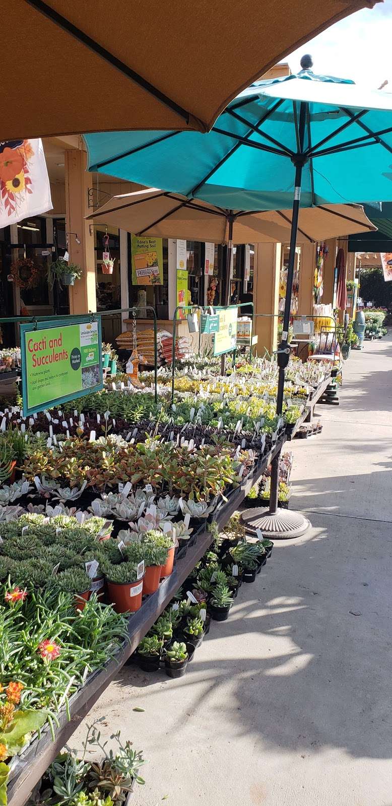 Armstrong Garden Centers | 12920 W Magnolia Blvd, Sherman Oaks, CA 91423, USA | Phone: (818) 761-1522