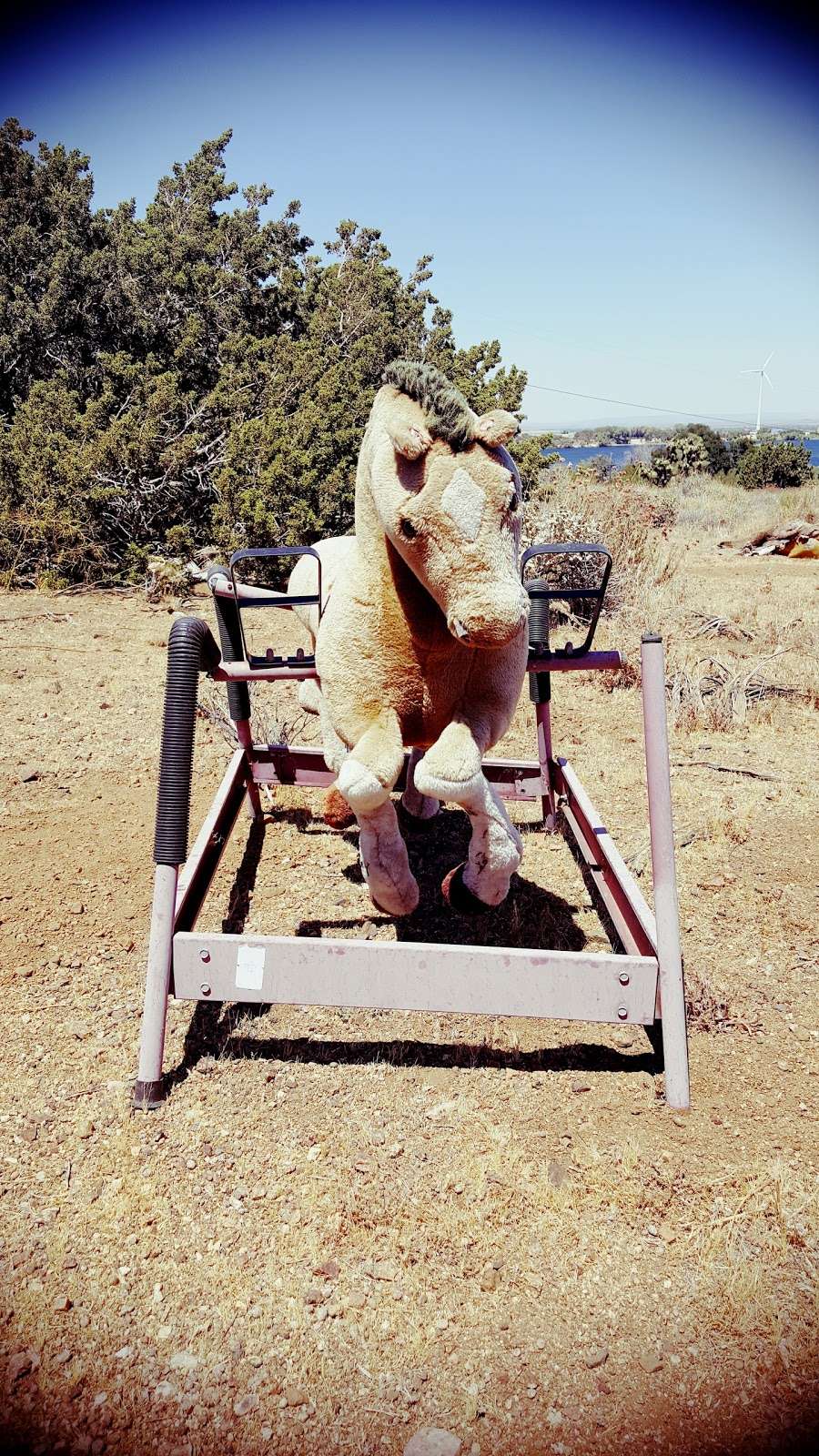 Lonely Rocking Horse | 161 Hacienda Dr, Palmdale, CA 93551, USA