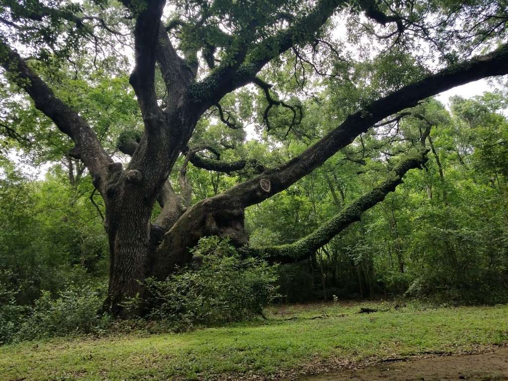 E.R. Ann Taylor Park | 1850 Reed Rd, Houston, TX 77051, USA