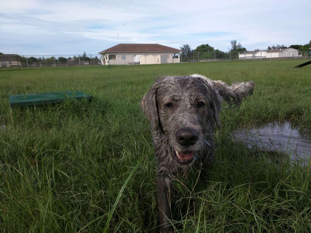 Steven L. Josias Dog & Equestrian Park | 5836 SW 193rd Way, Southwest Ranches, FL 33332, USA | Phone: (954) 392-2130