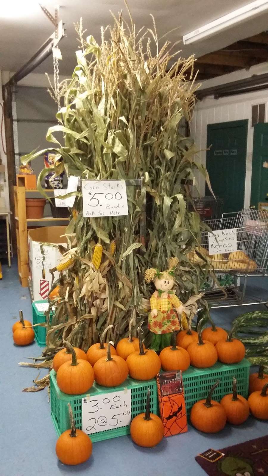 Scarecrow Farm | 2178 Orwig Rd, Stewartstown, PA 17363, USA | Phone: (717) 781-3625