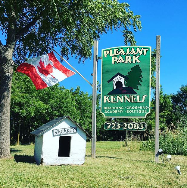Pleasant Park Grooming | 5285 Manning Rd, Maidstone, ON N0R 1K0, Canada | Phone: (519) 796-2083