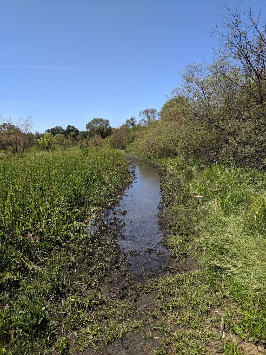 Laguna Wetlands Preserve | Sebastopol, CA 95472, USA | Phone: (707) 823-6167