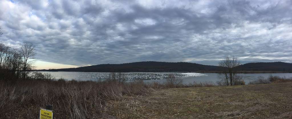 Middle Creek WMA Willow Point Parking Lot | Newmanstown, PA 17073, USA