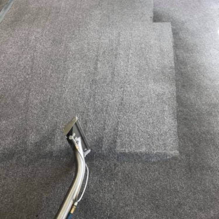 Renko Carpet Cleaning & Power | 663 Charlotte St, Windsor, ON N8X 3A6, Canada | Phone: (519) 972-9640