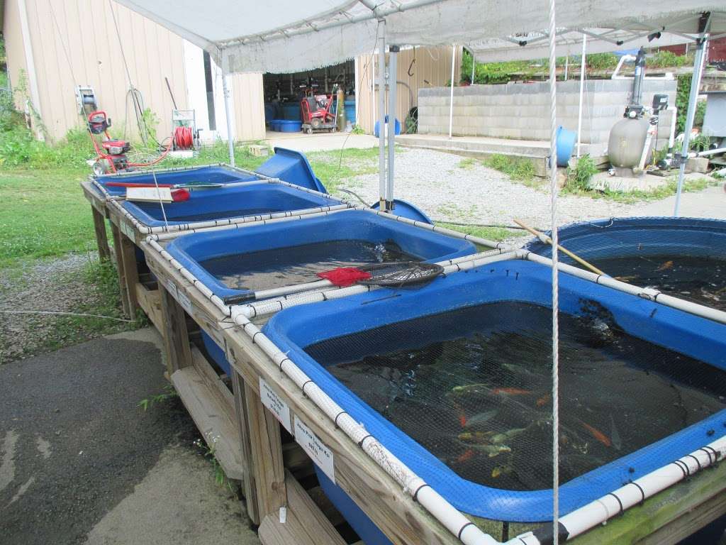 Hanover Koi Farms | 1332 Moulstown Rd N, Hanover, PA 17331, USA | Phone: (717) 637-1111