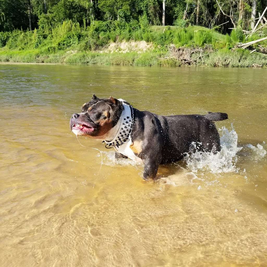 Bibi & Mini-Me Bush Dog Park | 4129 Spring Creek Dr, Spring, TX 77373, USA | Phone: (281) 353-8100