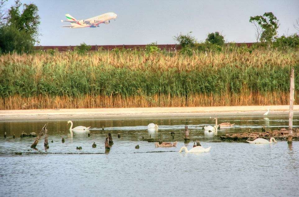 Jamaica Bay Wildlife Refuge Visitor Center | 175-10 Cross Bay Blvd, Broad Channel, NY 11693, USA | Phone: (718) 318-4340