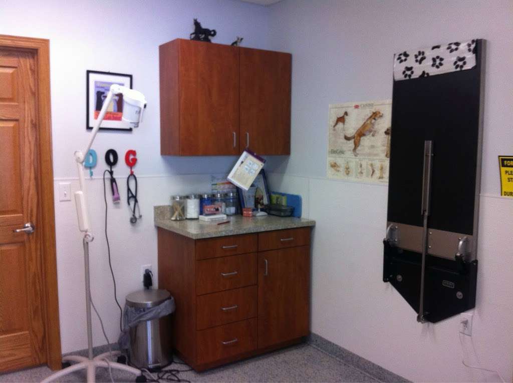 Caledonia Veterinary Clinic | 4338 WI-38, Franksville, WI 53126, USA | Phone: (262) 681-8000