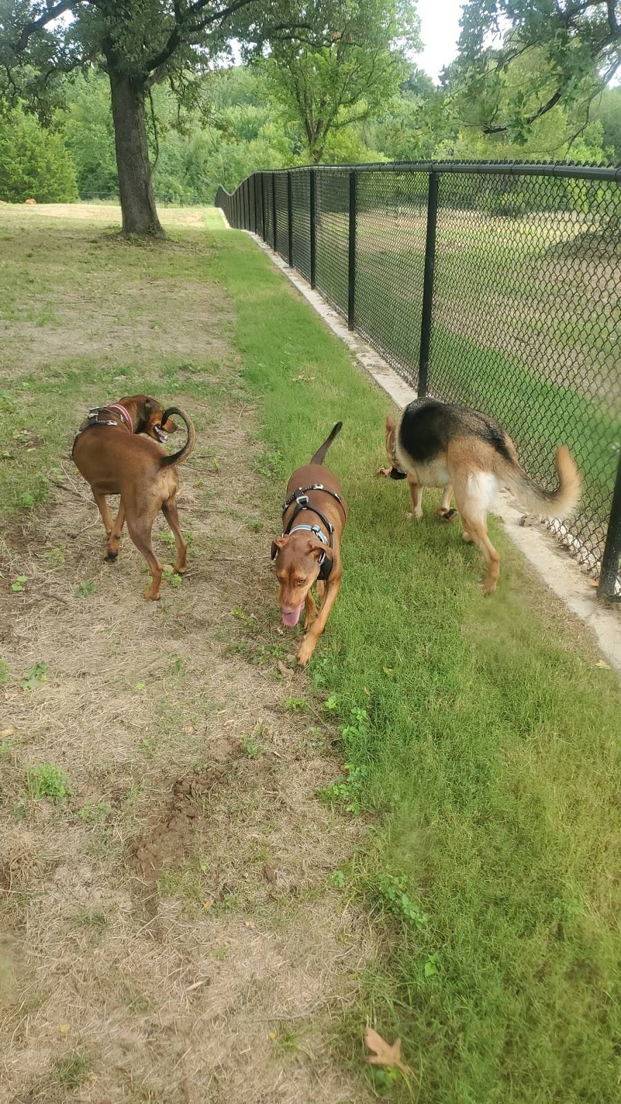 Mans Best Field Dog Park | 610 W Broad St, Mansfield, TX 76063, USA | Phone: (817) 473-1943