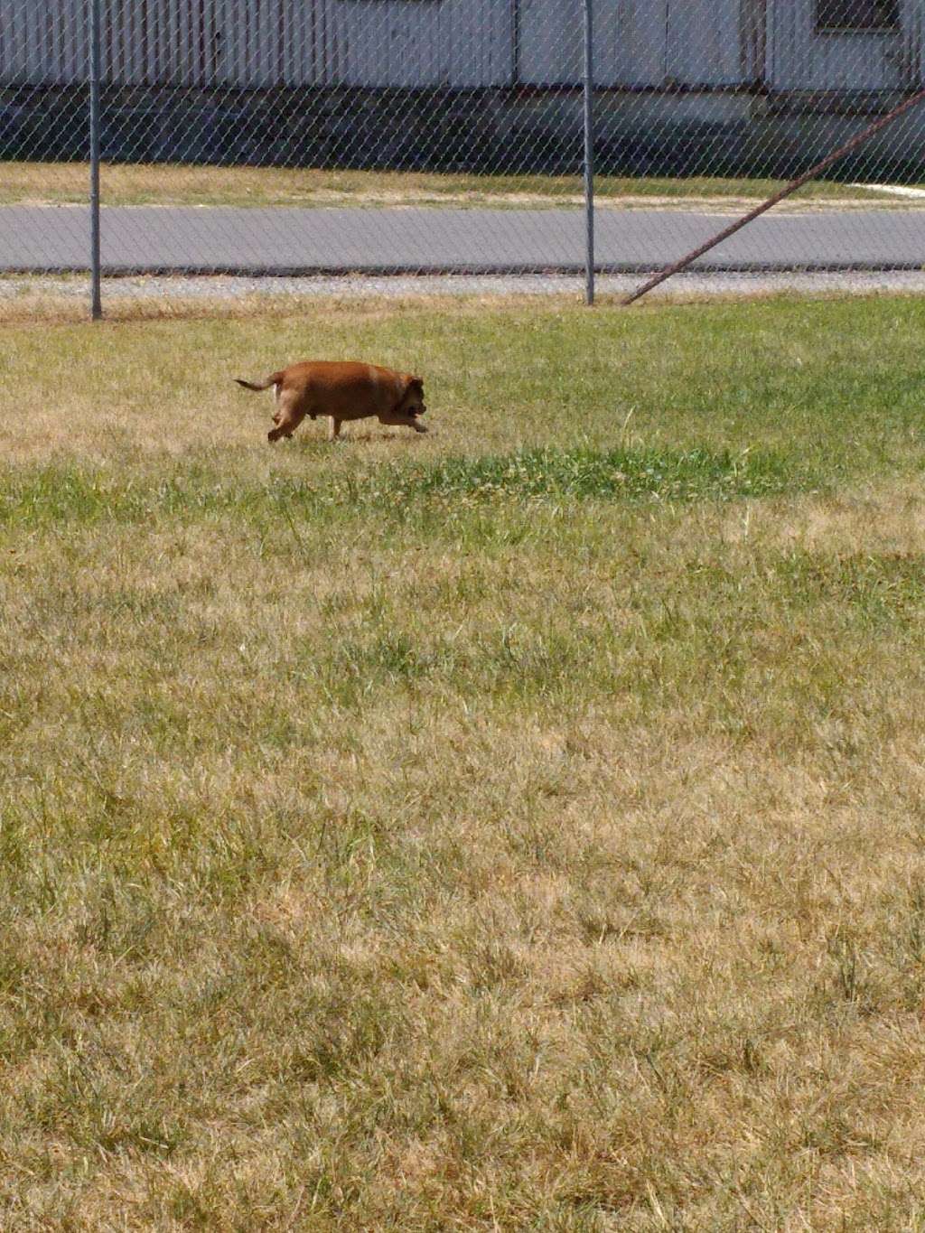 Milford Dog Park | 1 Marshall St, Milford, DE 19963, USA