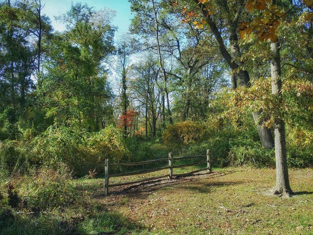 Jurgensen Woods Nature Preserve | 183rd St, Lansing, IL 60438, USA | Phone: (800) 370-3666