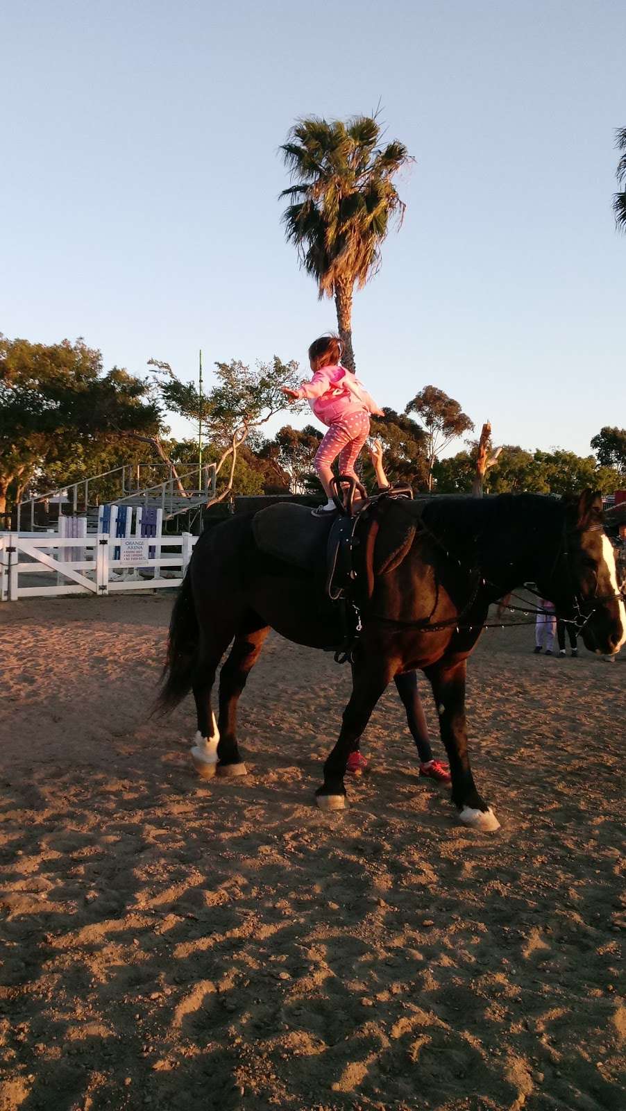 OC Equestrian Vaulting | 905 Arlington Dr, Costa Mesa, CA 92626, USA | Phone: (949) 355-7023