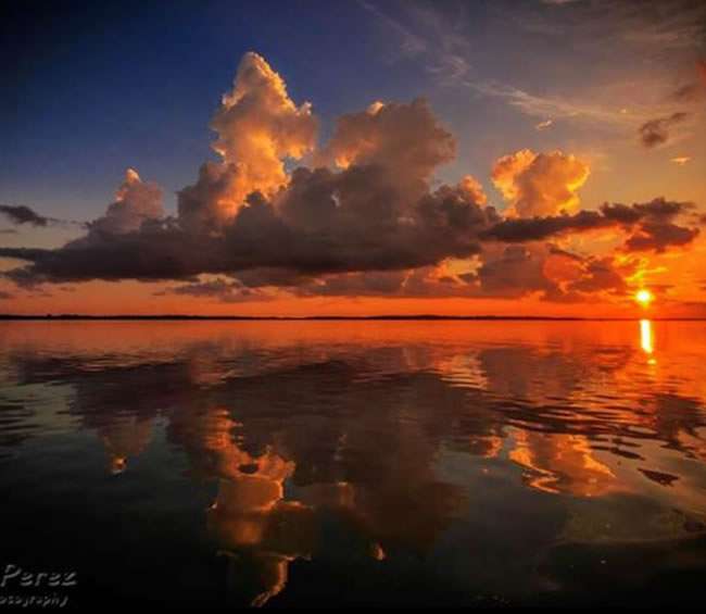 Conch Cruises & Tours | U-Tiki Beach Marina 1095 N Hwy A1A, Jupiter, FL 33477, USA | Phone: (561) 797-9979