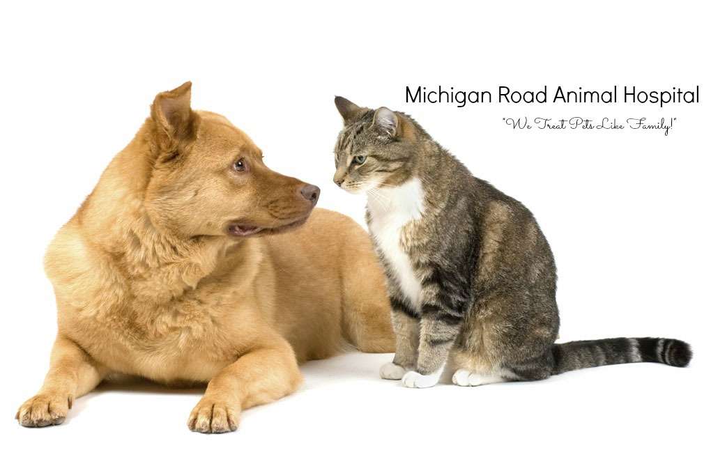 Michigan Road Animal Hospital at Crooked Creek | 7720 N Michigan Rd, Indianapolis, IN 46268, USA | Phone: (317) 291-3932