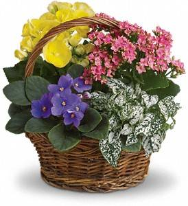 Flowers Unlimited | 5532 66th St N, St. Petersburg, FL 33709, USA | Phone: (727) 384-5900