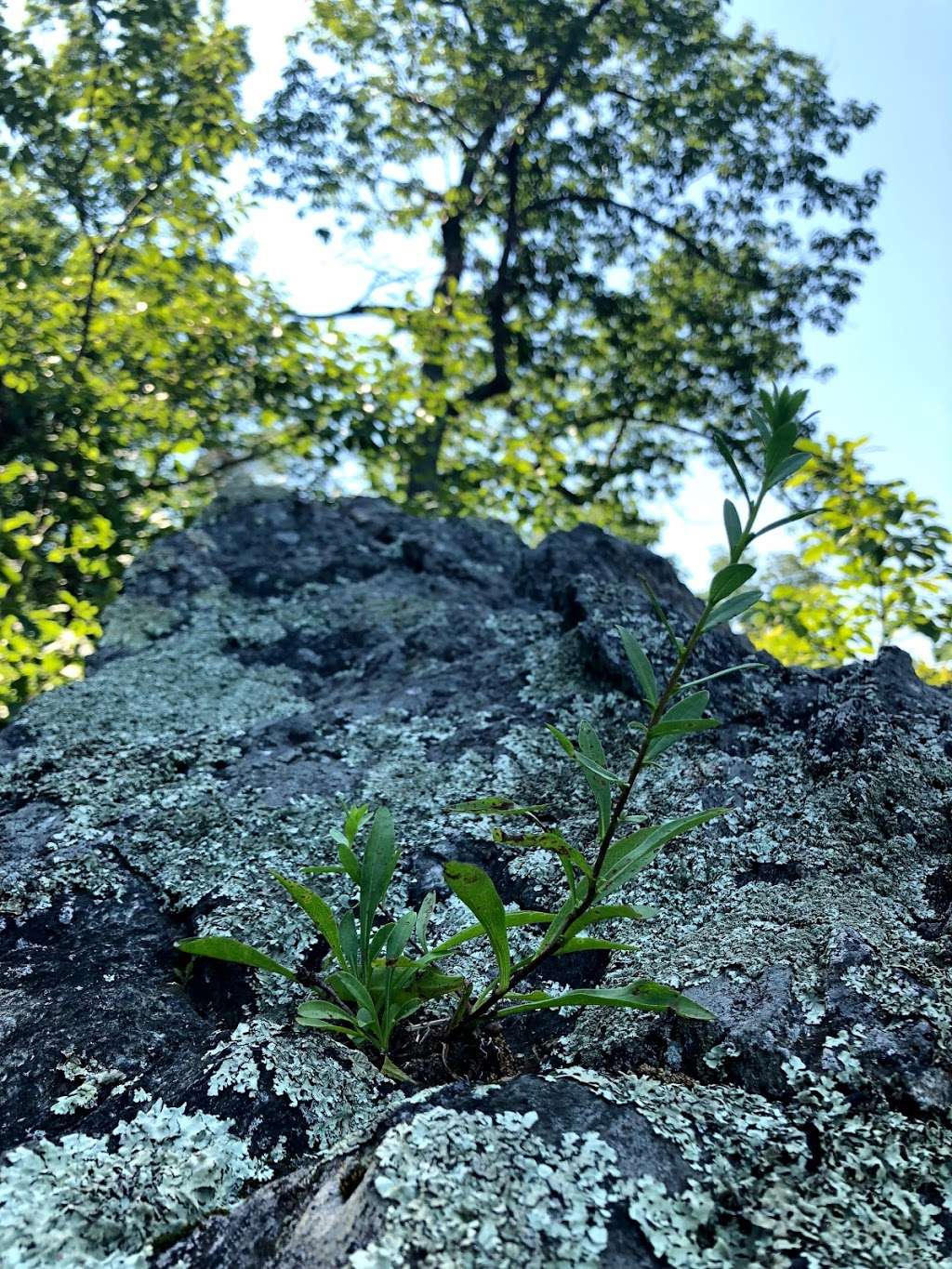 Billy Goat Trail Section C | Billy Goat Trail Section C, Potomac, MD 20854, USA