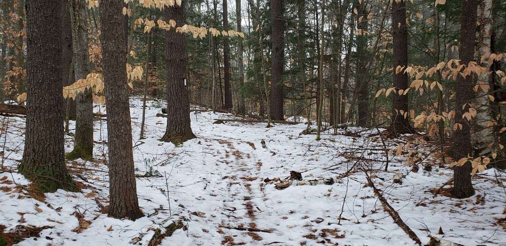 Haseltine Trailhead | B-H Trail, Amherst, NH 03031, USA