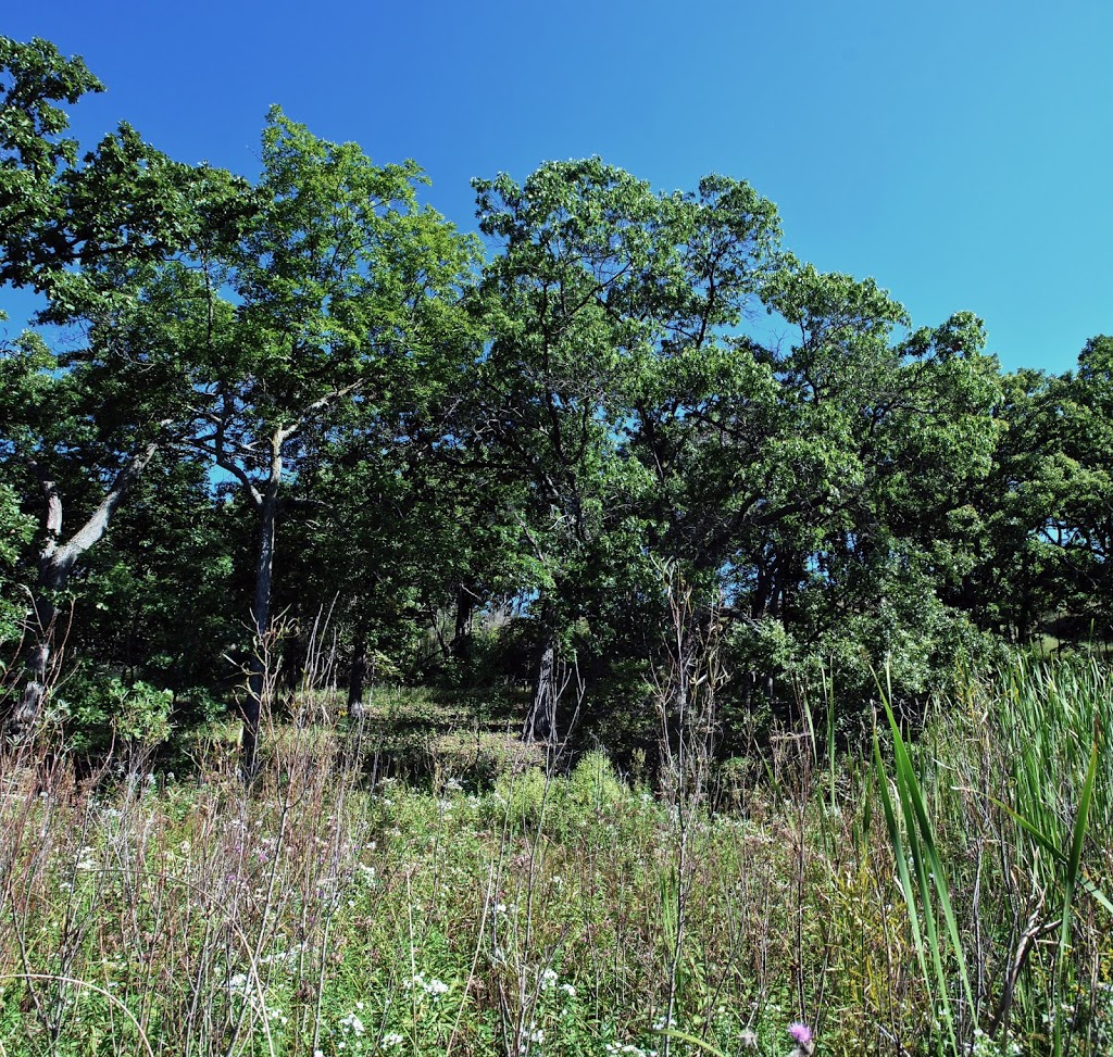 Pickerel Lake Fen State Natural Area | 101 S Webster St, Madison, WI 53703, USA | Phone: (608) 266-2621