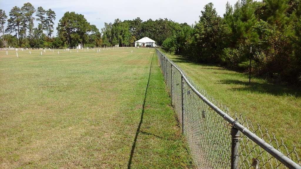 Holly Grove Cemetery – Holly Grove, Texas | County Line Rd S, Livingston, TX 77351, USA | Phone: (936) 685-5143