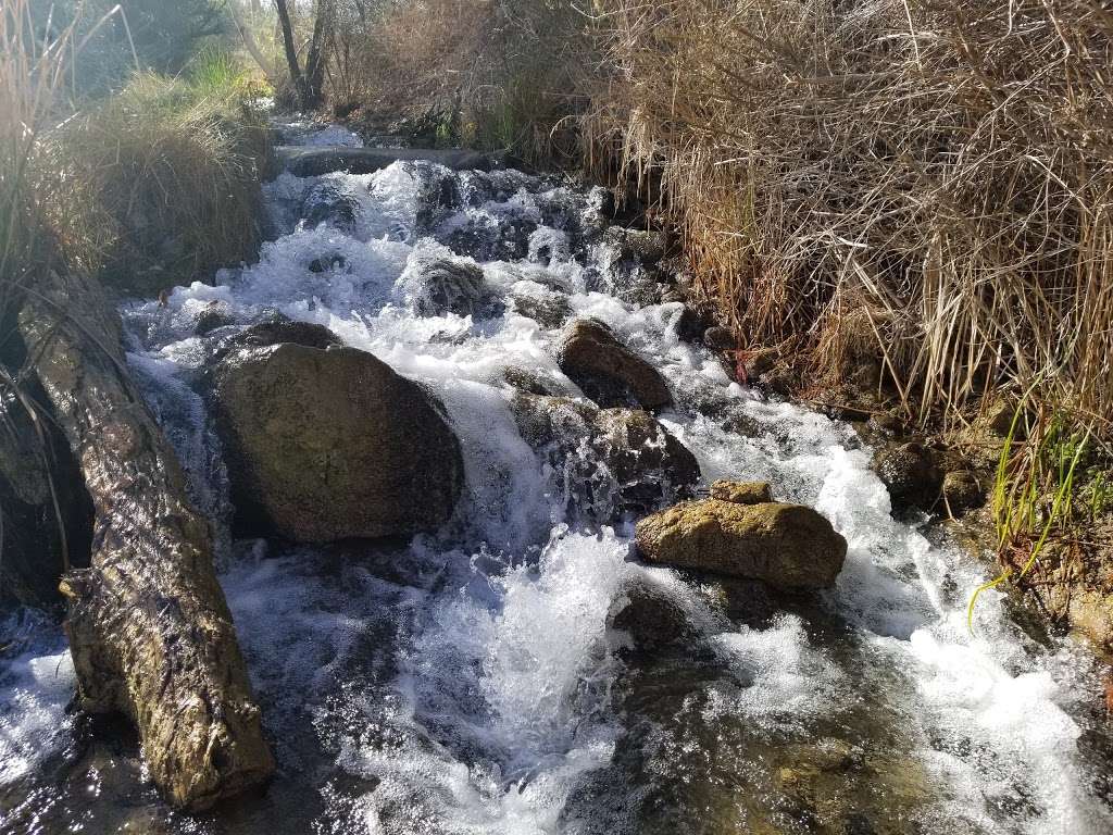 Warm Springs Natural Area | 4240 Warm Springs Rd, Moapa, NV 89025, USA