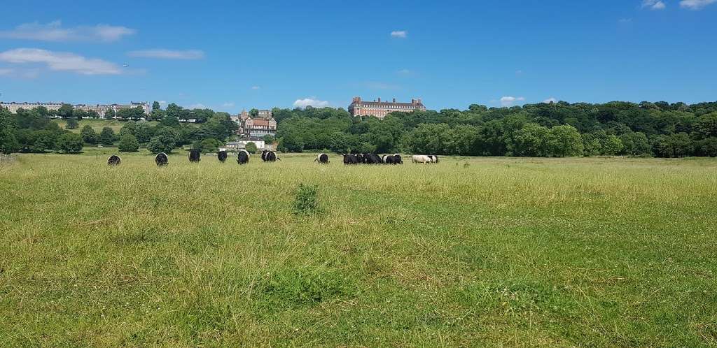 Petersham Meadows | Richmond TW10 6UY, UK