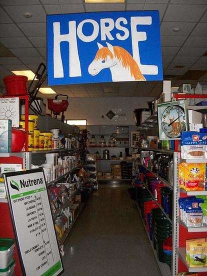 Out Front Farm Pet Supply | 179 Main St, Monroe, CT 06468, USA | Phone: (203) 261-8499
