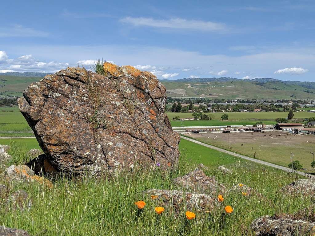 Coyote Valley Open Space Preserve | 550 Palm Ave, Morgan Hill, CA 95037, USA | Phone: (408) 224-7476