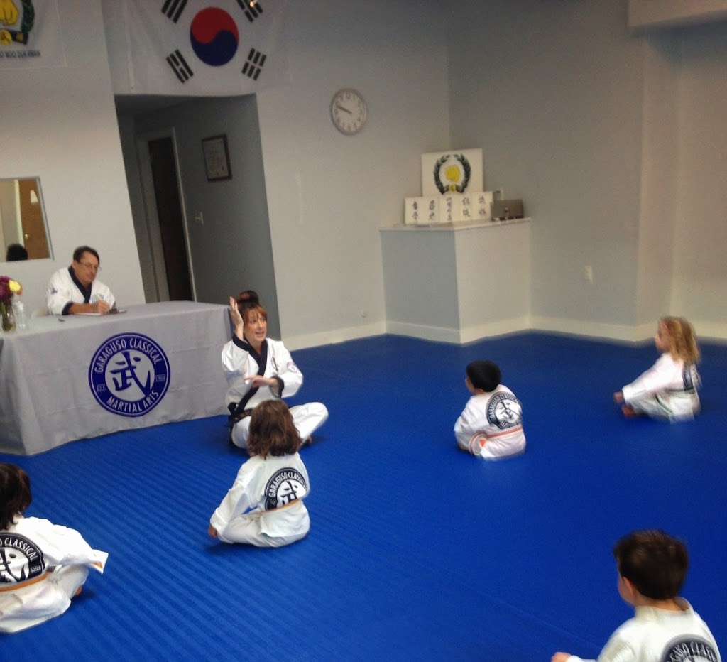 Garaguso Classical Martial Arts | 16 N Haddon Ave, Haddonfield, NJ 08033, USA | Phone: (856) 616-2371