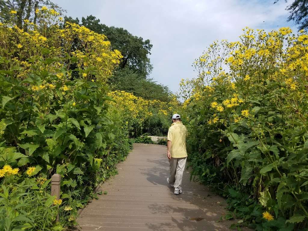 Nature Boardwalk at Lincoln Park Zoo | 2121 N Stockton Dr, Chicago, IL 60614, USA