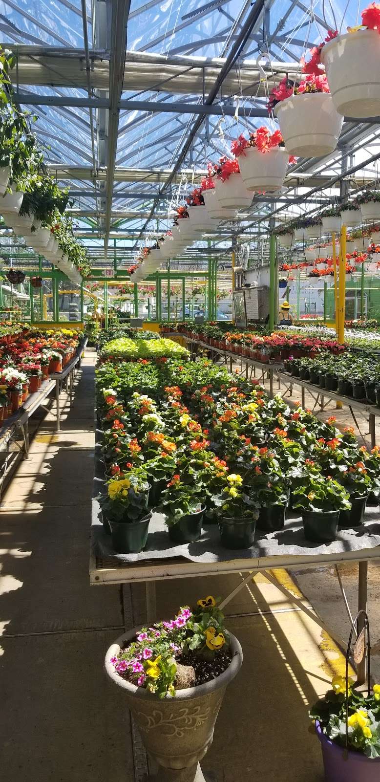 Dutch & Olgas Greenhouse | 1285 NJ-36, Hazlet, NJ 07730, USA | Phone: (732) 888-4808