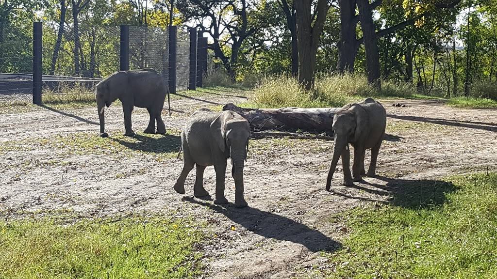 Elephant Amphitheater | 3901-, 3999 S River Dr, Omaha, NE 68108, USA | Phone: (402) 733-8400