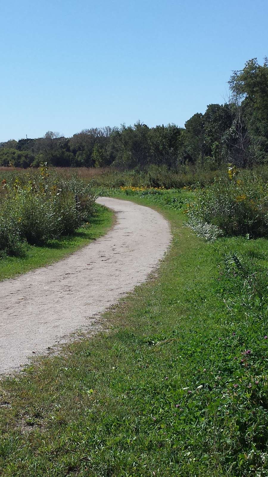 Fitchie Creek Forest Preserve | 39W993 Russell Rd, Elgin, IL 60124, USA | Phone: (630) 232-5980