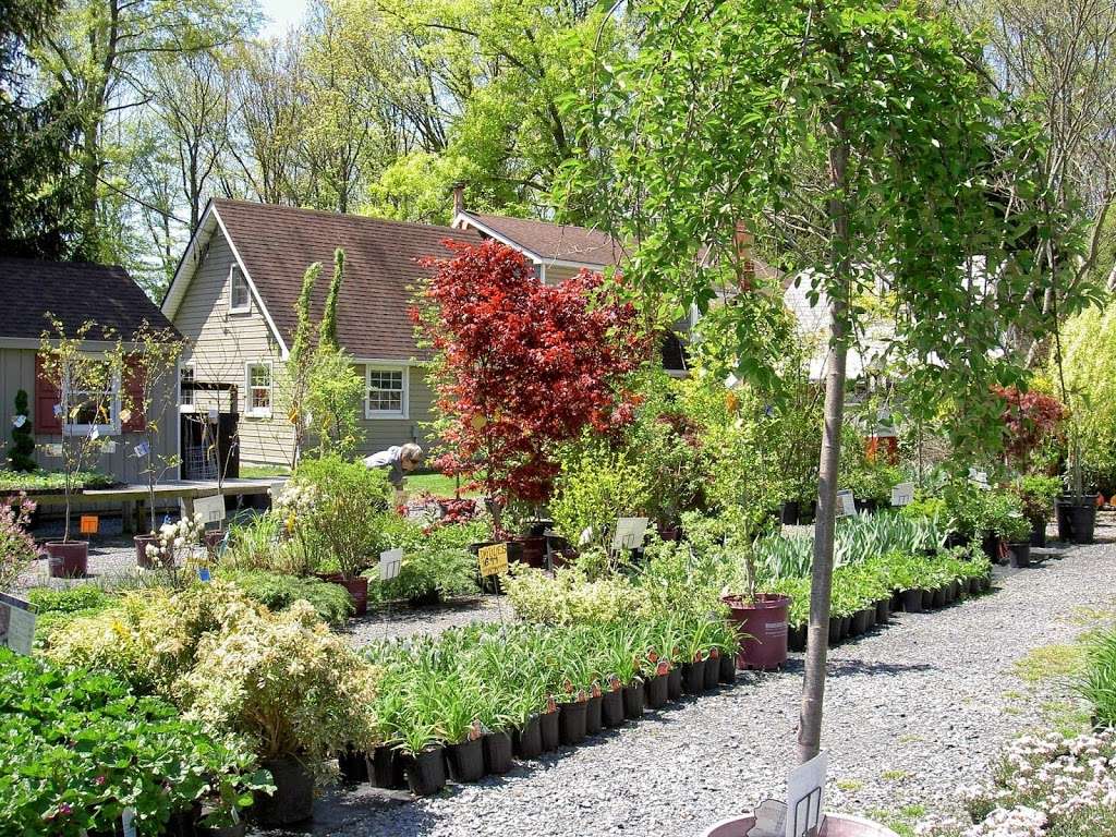 Ginder Greenhouse & Garden Center Inc | 558 Lake Minsi Dr, Bangor, PA 18013, USA | Phone: (610) 588-0222