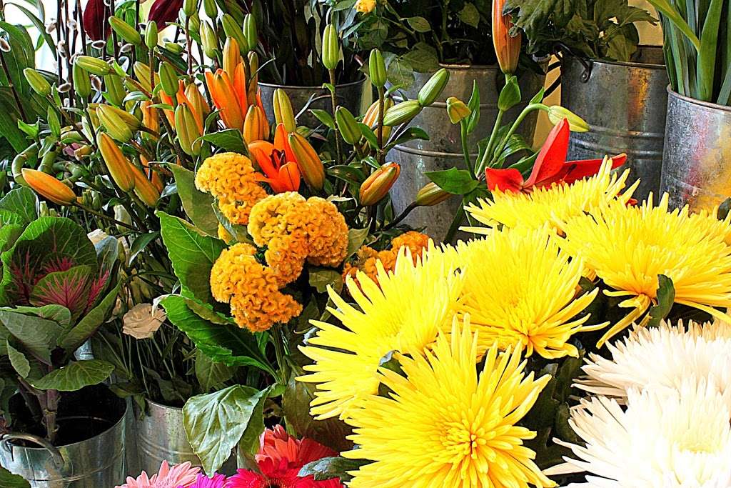 Honor Oak Florist | 64 Honor Oak Park, London SE23 1DY, UK | Phone: 020 8699 1909