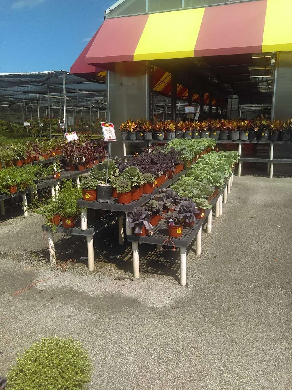 Houston Garden Center | 23260 Northwest Fwy, Cypress, TX 77429, USA | Phone: (281) 373-2239