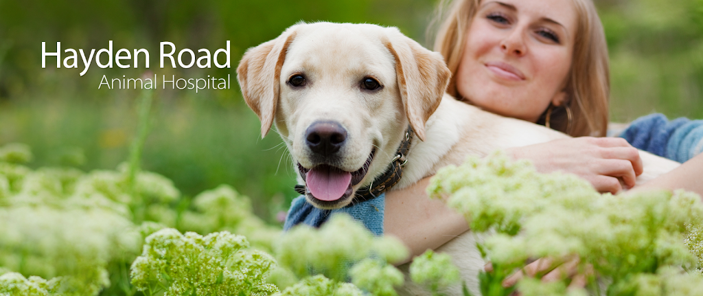 Hayden Road Animal Hospital | 814 N Hayden Rd, Scottsdale, AZ 85257, USA | Phone: (480) 945-9466