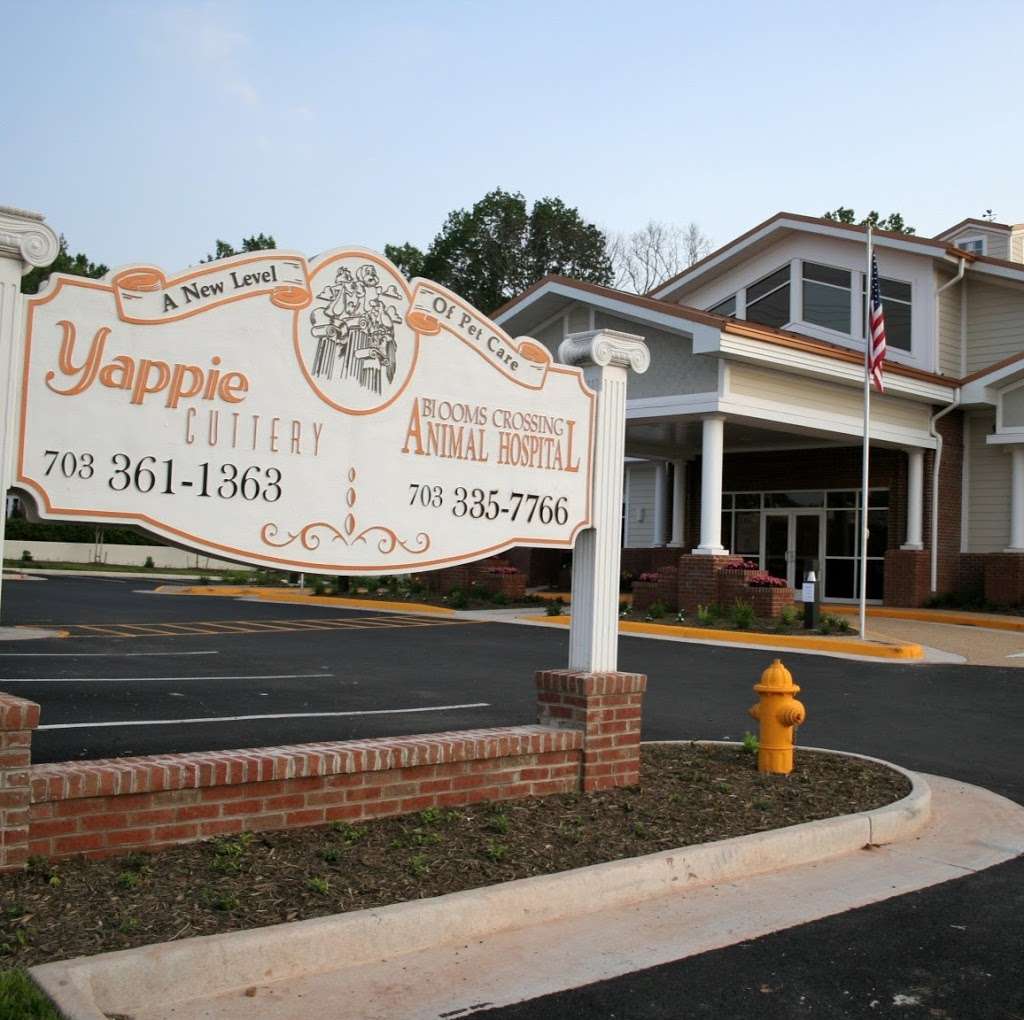 Yappie Cuttery | 9471 Manassas Dr, Manassas Park, VA 20111, USA | Phone: (703) 361-1363