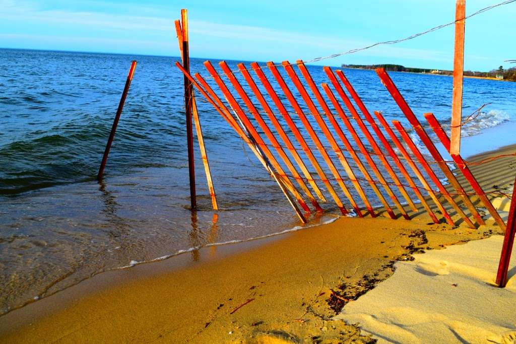 Terrapin Nature Park | 191 Log Canoe Cir, Stevensville, MD 21666, USA | Phone: (410) 758-0835