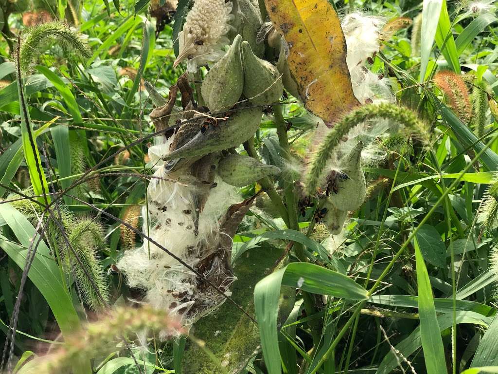 Mill Creek Marsh Trail | Mill Creek Marsh Trail, Secaucus, NJ 07094, USA