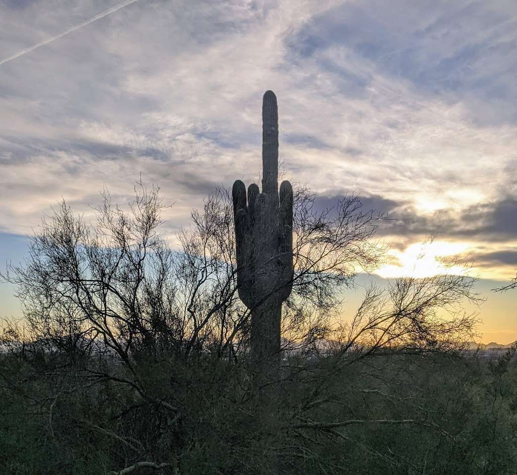 McDowell Sonoran Preserve | 18333 N Thompson Peak Pkwy, Scottsdale, AZ 85260, USA | Phone: (480) 998-7971