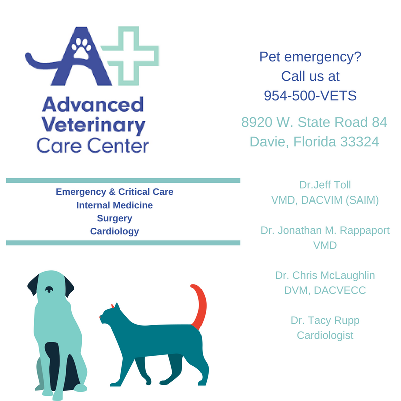 Advanced Veterinary Care Center | 8920 W State Rd 84, Davie, FL 33324, USA | Phone: (954) 500-8387