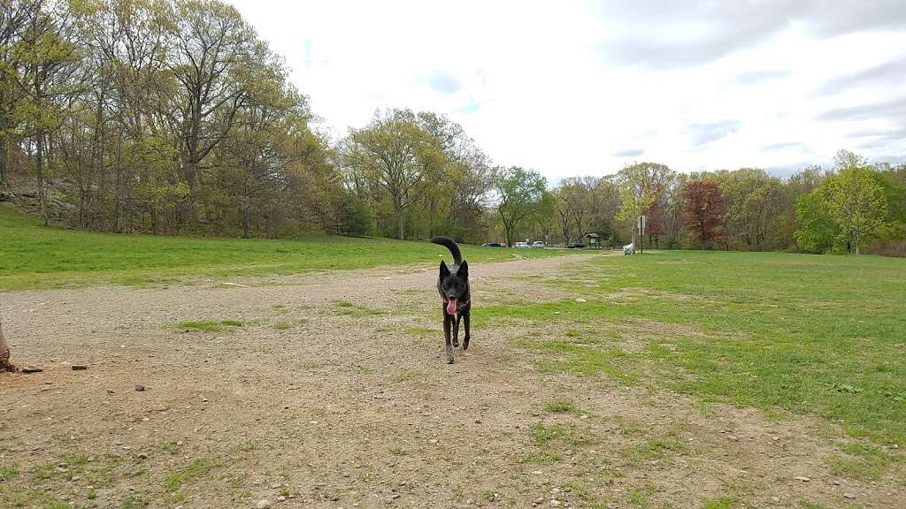 Sheepfold Dog Park | Fells Path, Stoneham, MA 02180, USA | Phone: (617) 727-1199 ext. 406